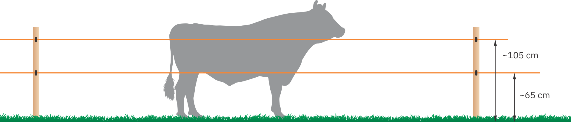 Бикове, юници