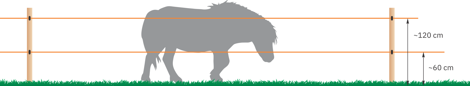 Понита (дребни коне)