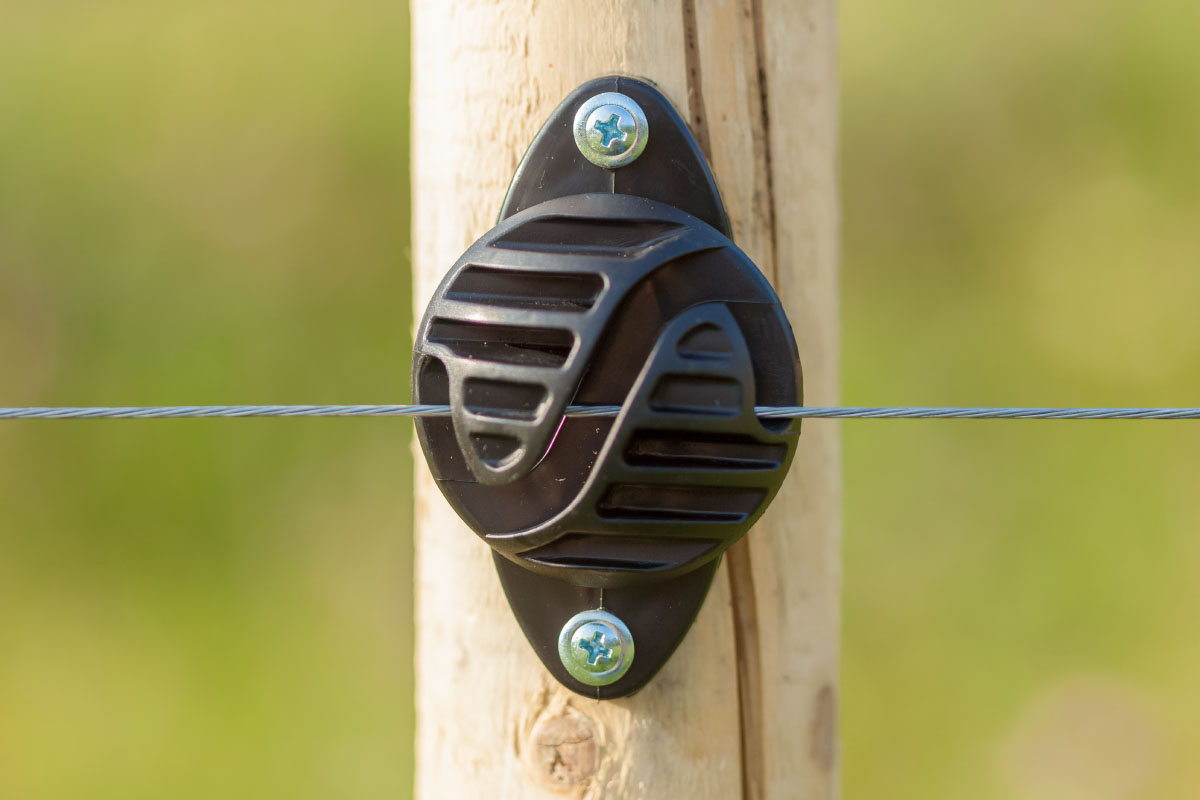 Галванизирана тел за електропастир