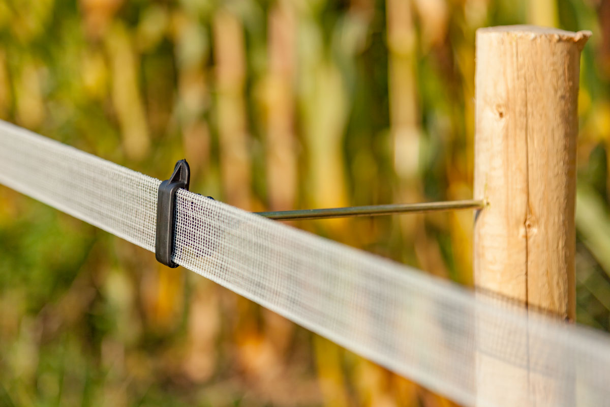 Лента за електропастир