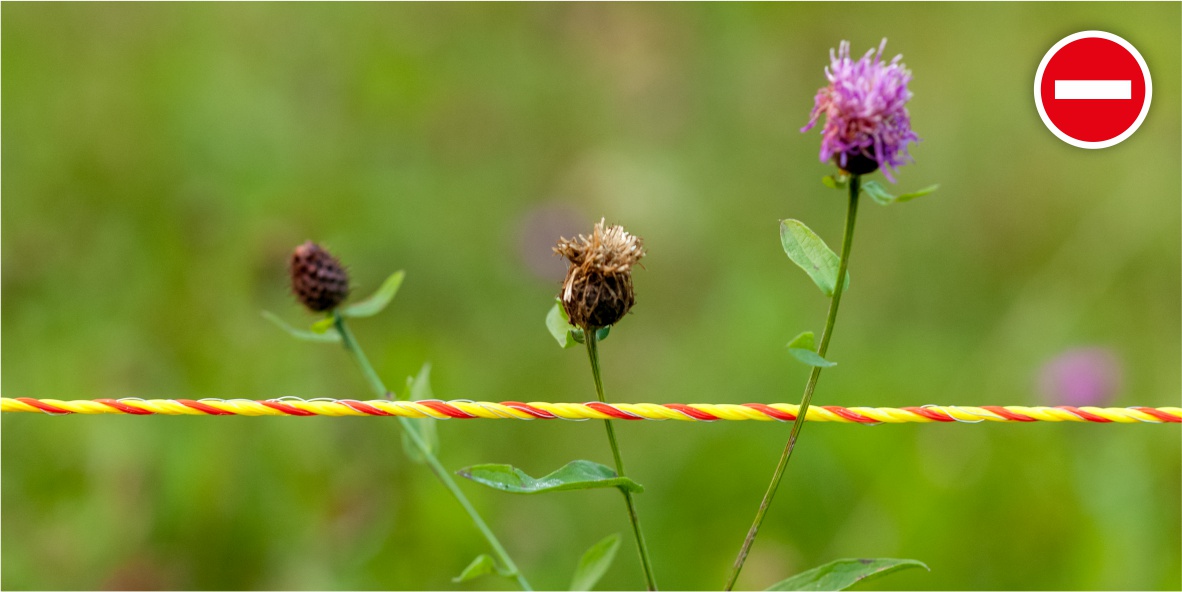 Проводника не трябва да докосва растителност!