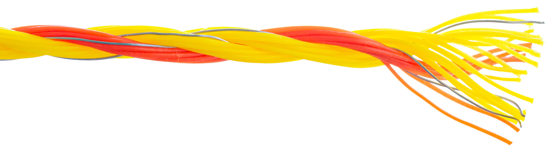 Обикновен проводник за електропастир