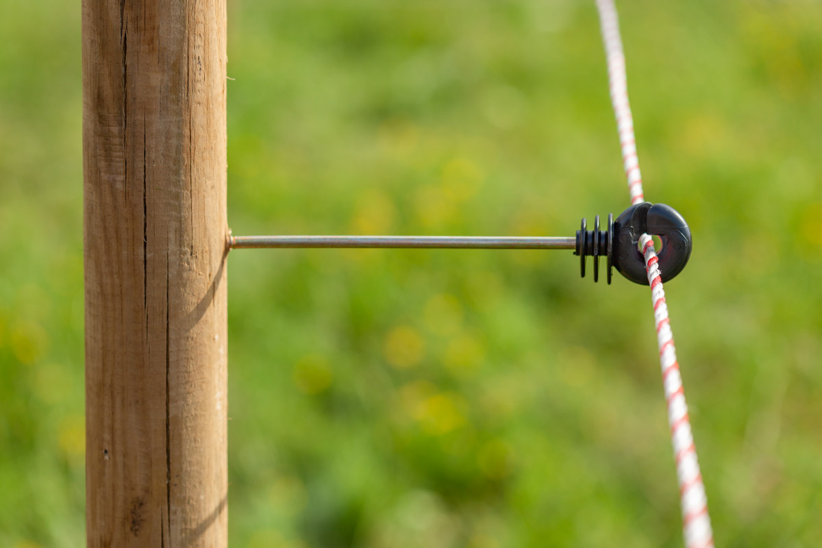 Изолатор с винт за дърво