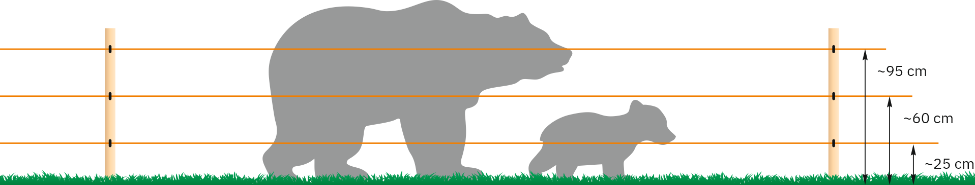 Схема на конструкцията на оградата, препоръчвана за мечки