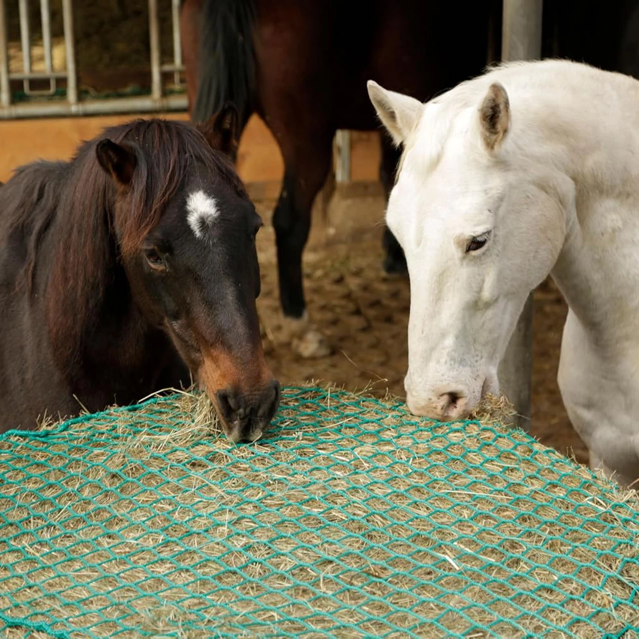 Мрежа за хранене на коне, 150 × 150 см