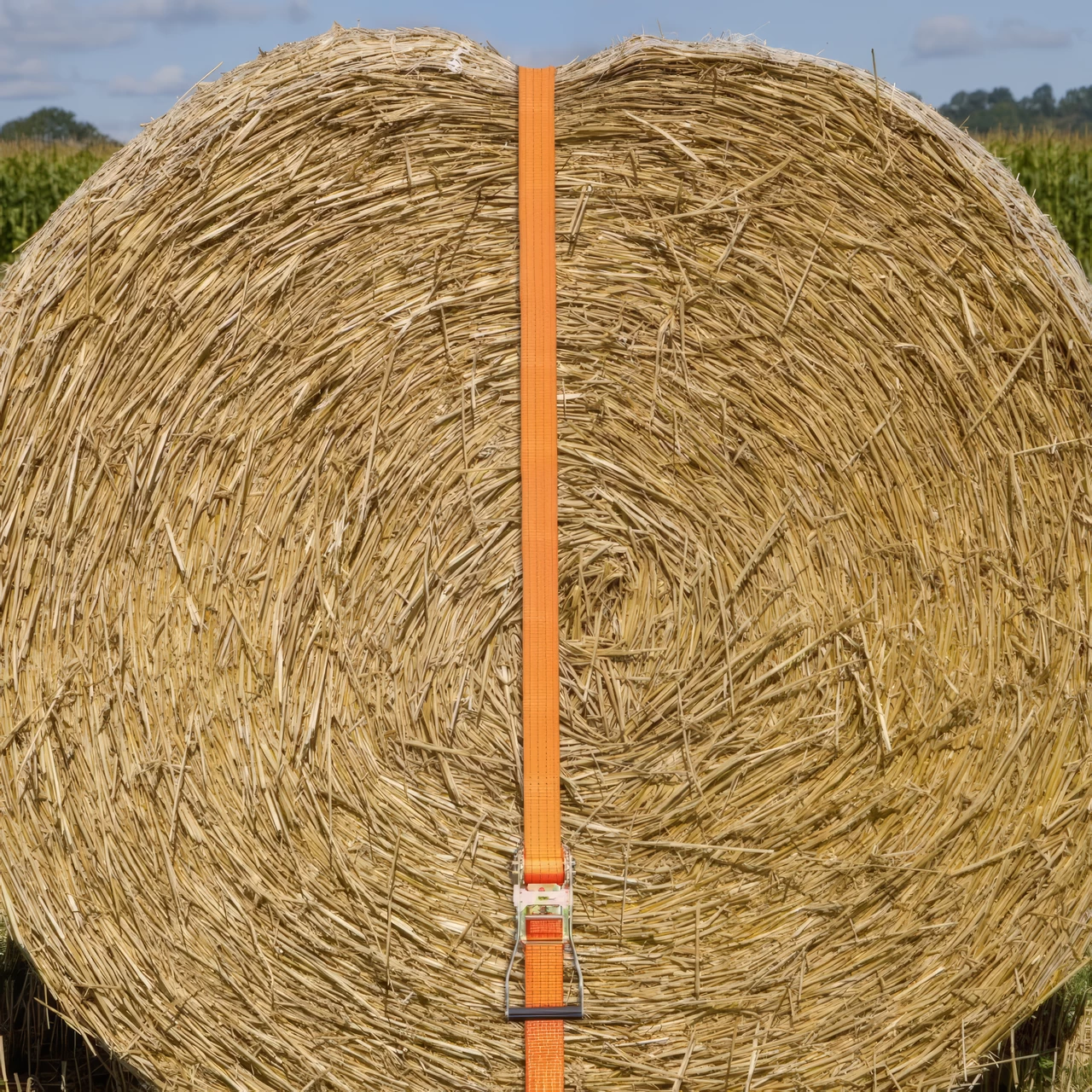 Колан за укрепване на товари с тресчотка, оранжев, 4000 кг, 50 мм × 10 м