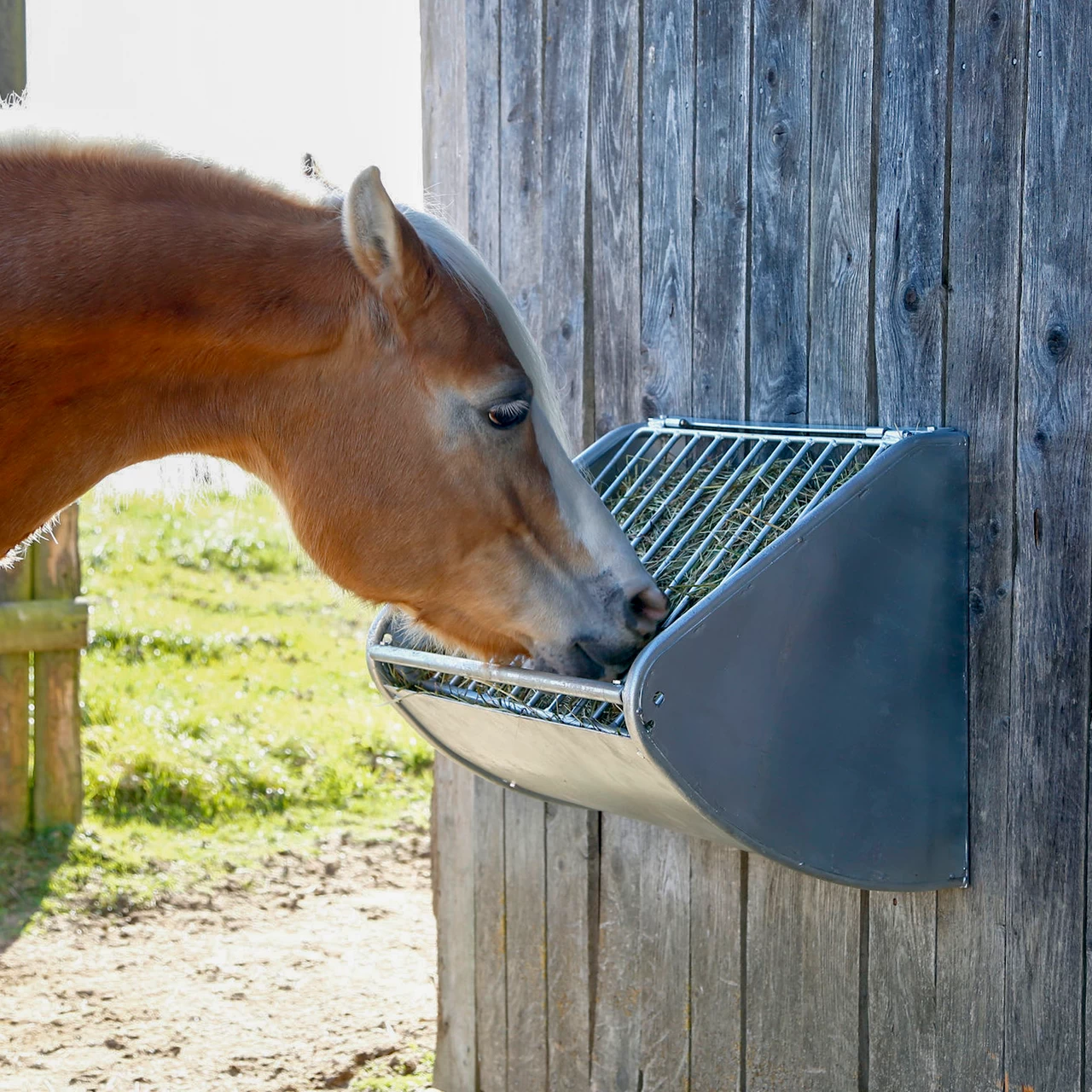 Метална ясла за сено, за монтаж на стена, 60 × 53 см