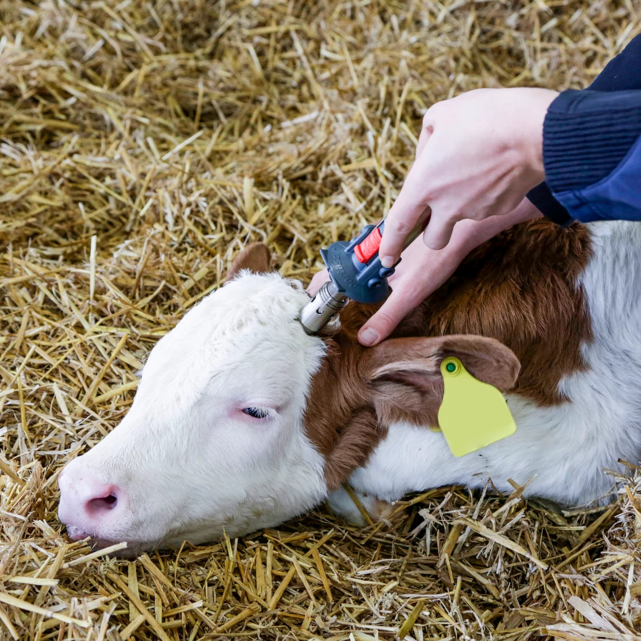 Газов обезроговител Portasol 3, с глава Ø18,5 мм