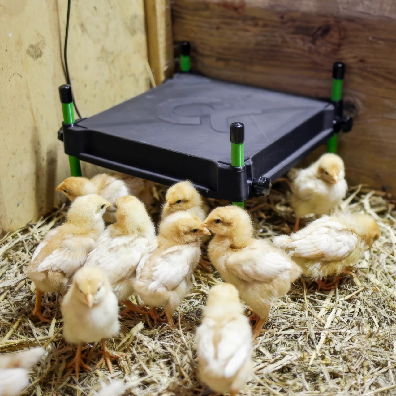 Термоподложка за пилета, CosyHeat, 30 × 30 см