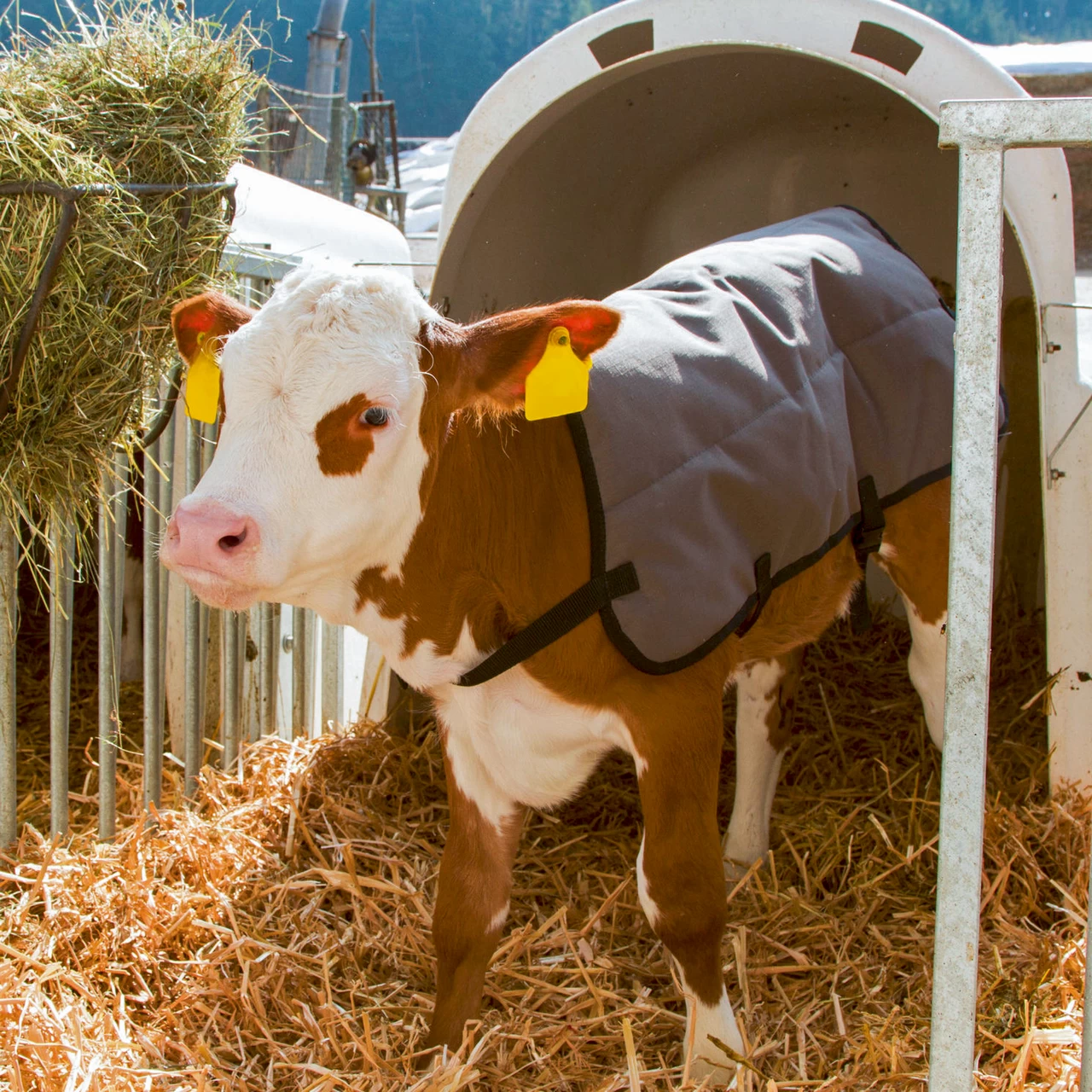 Одеяло за телета, водоустойчиво, сиво, 70 × 70 см