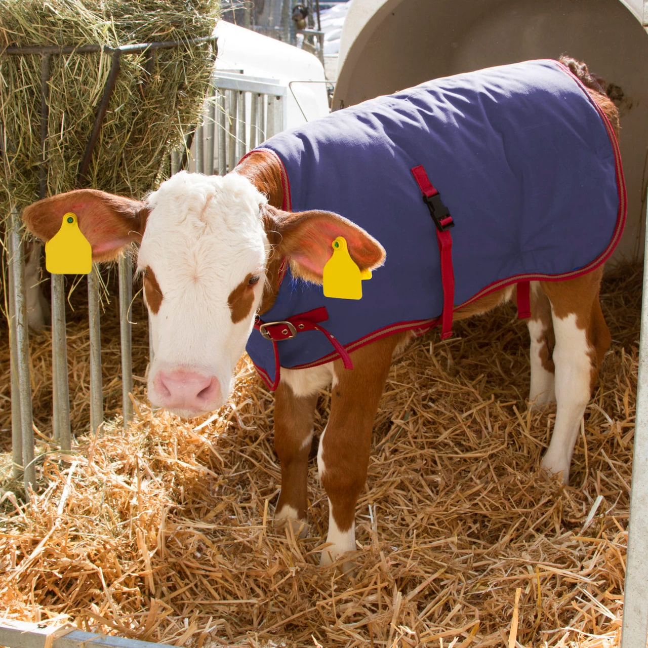 Одеяло за телета, водоустойчиво, ThermoPlus, тъмно синьо, 80 × 70 см