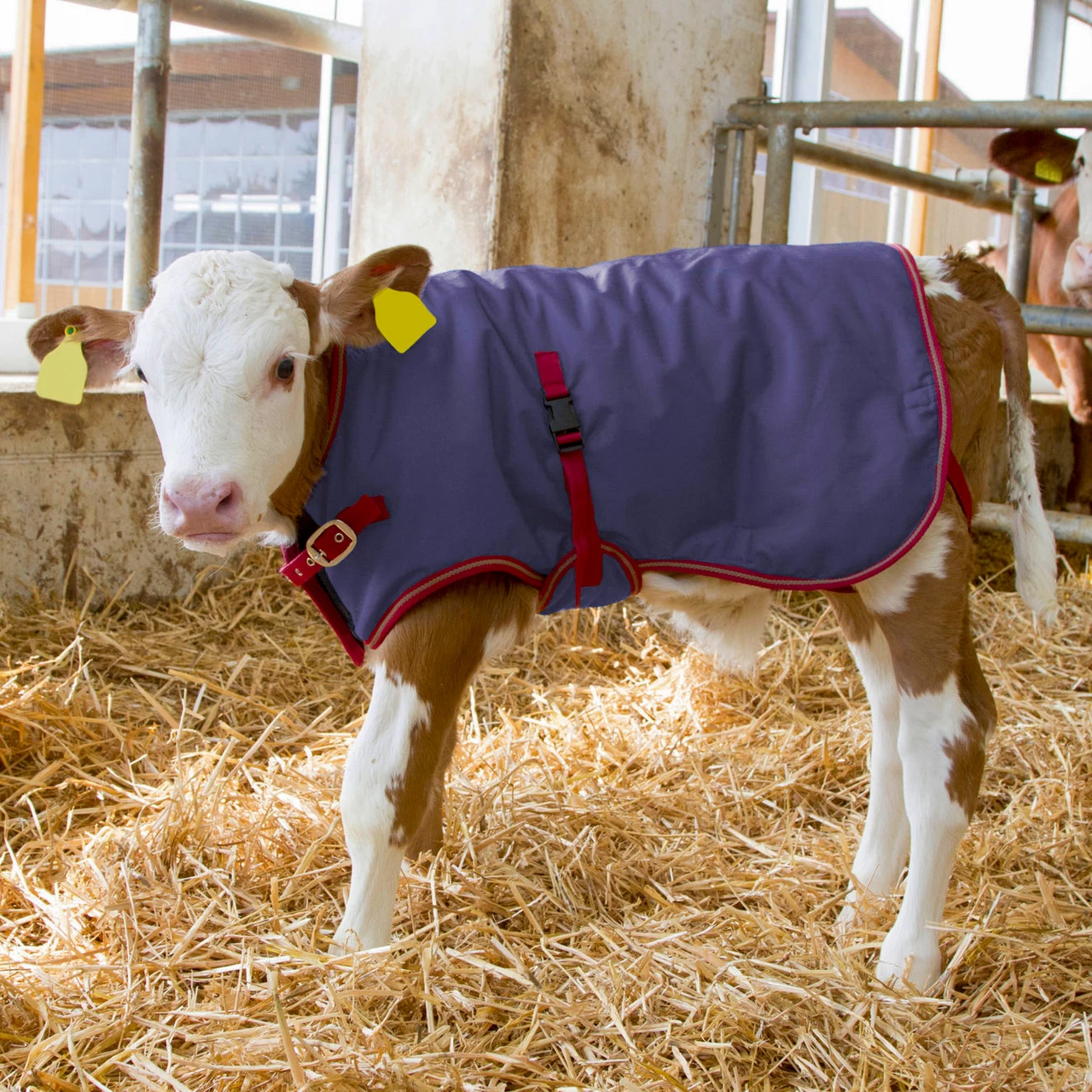 Одеяло за телета, водоустойчиво, ThermoPlus, тъмно синьо, 70 × 70 см