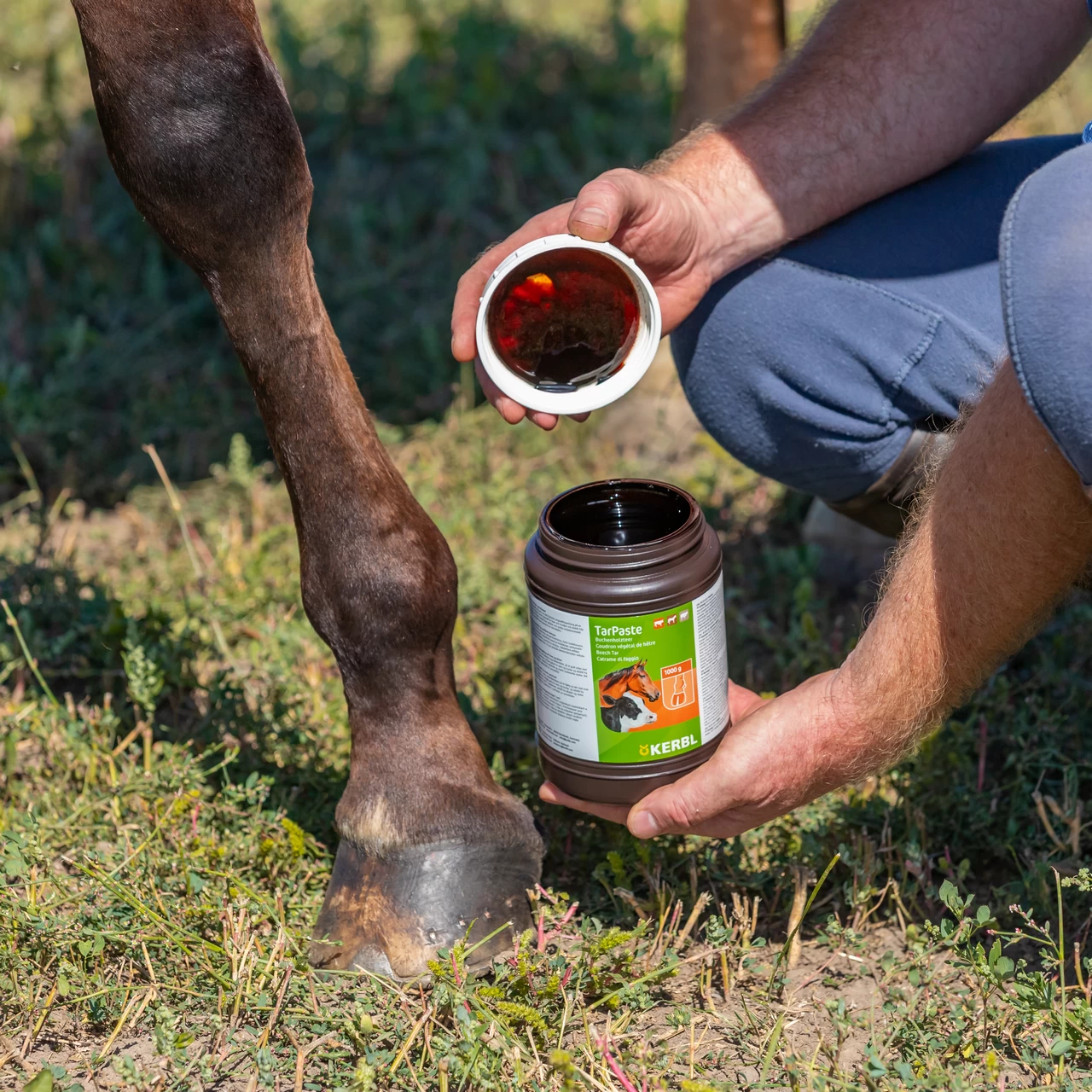 Паста от буков катран, TarPaste, 1 кг