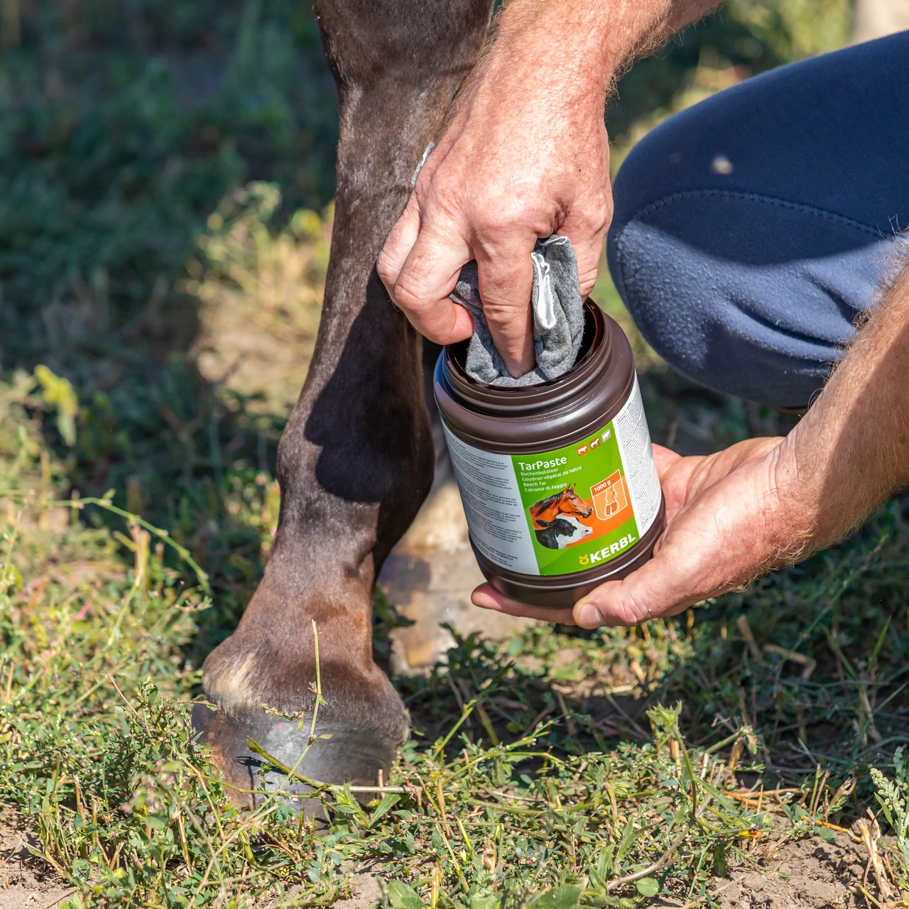 Паста от буков катран, TarPaste, 1 кг