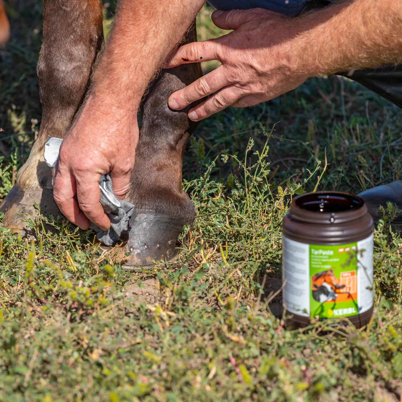 Паста от буков катран, TarPaste, 1 кг