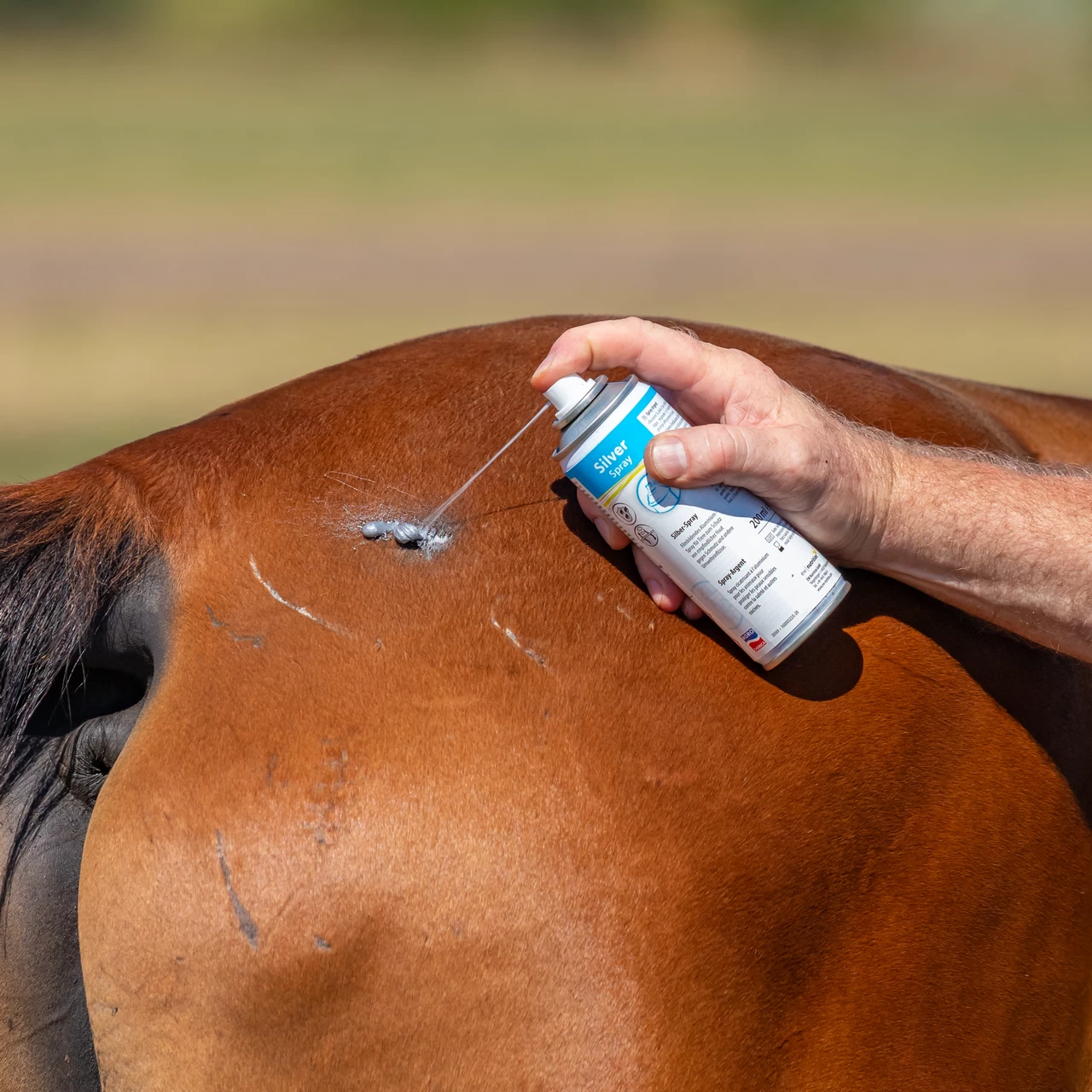 Сребърен спрей за защита на леки рани или контузии, 200 мл