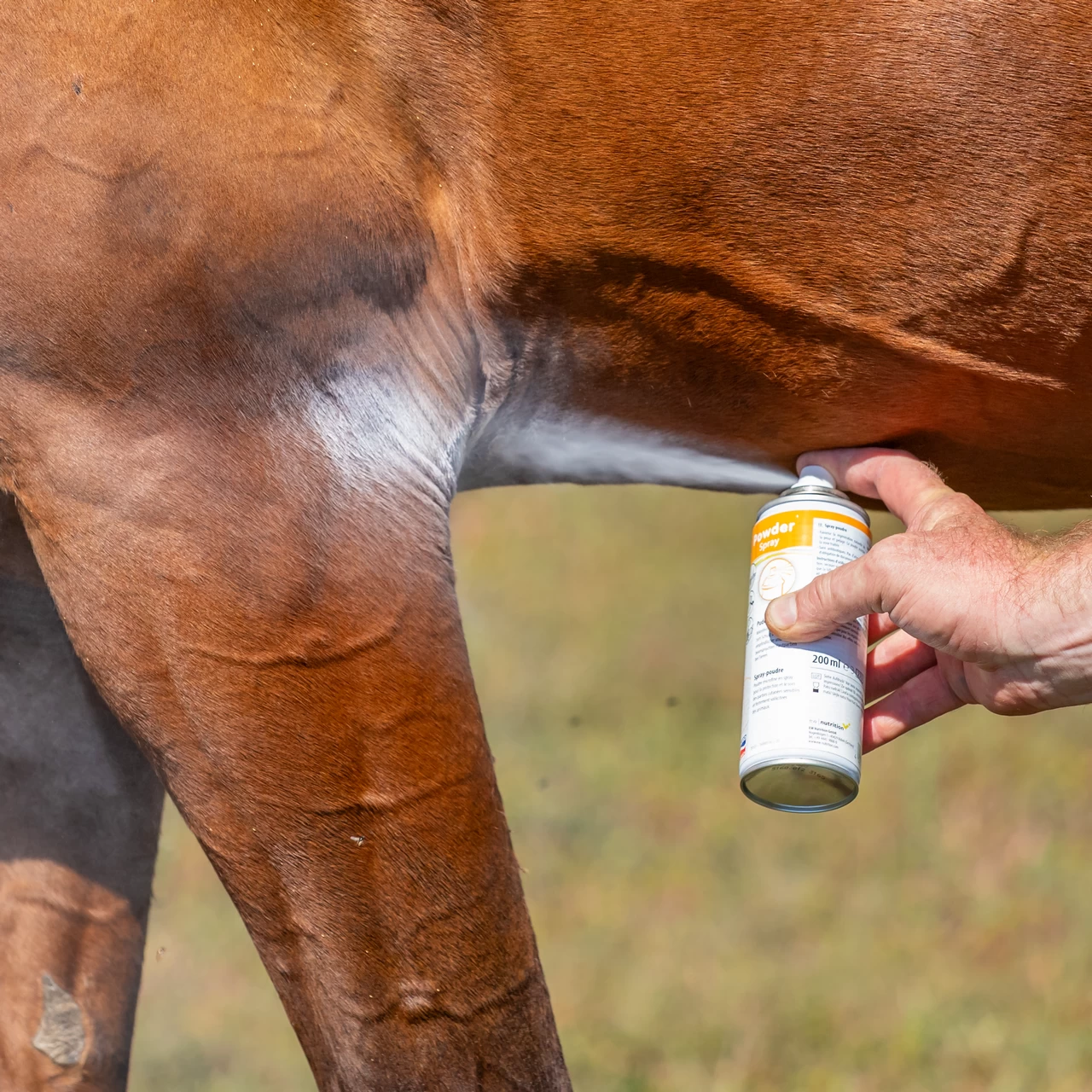 Спрей пудра - защита и грижа за чувствителната кожа на животните, 200 мл