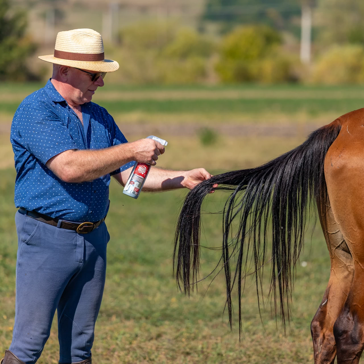 Спрей за грижа за гривата, аромат FrenchKiss, MagicBrush, 500 мл