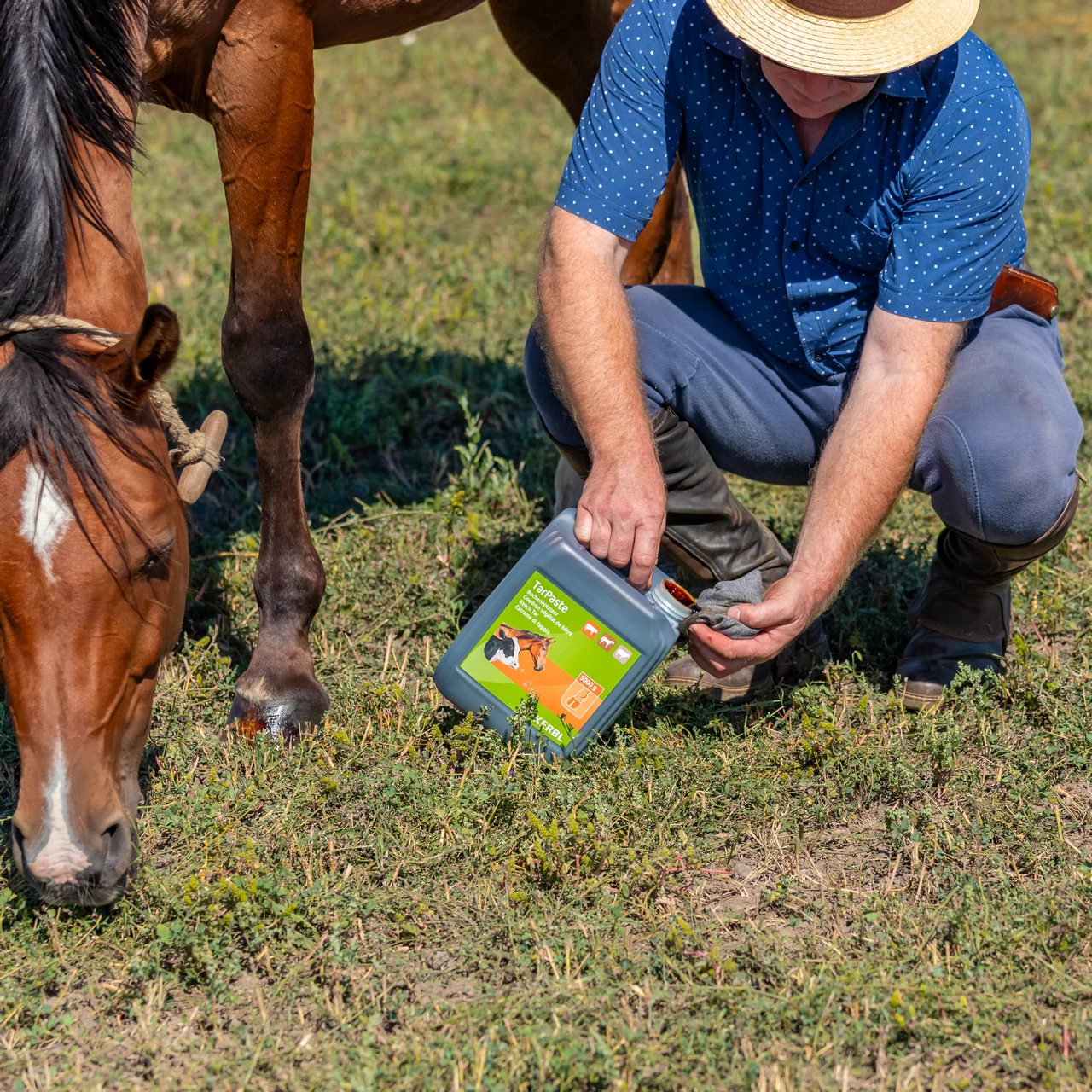 Буков катран, TarPaste, 5 кг