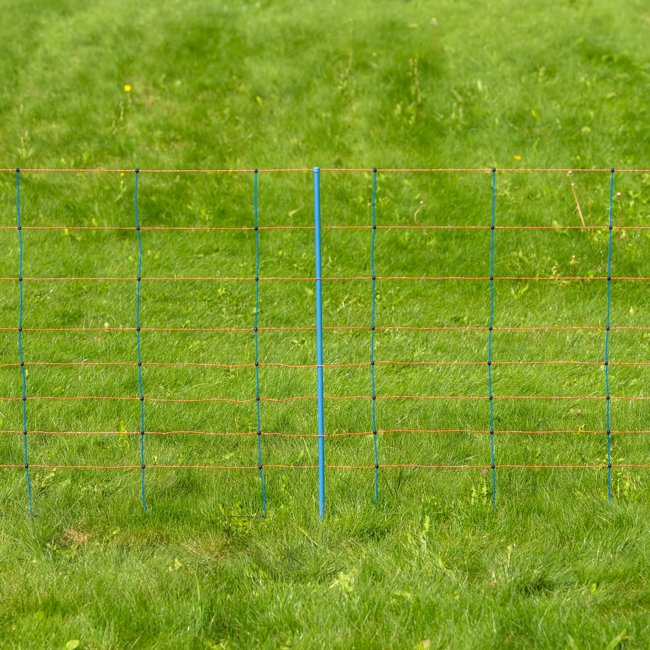 Мрежа за електропастир, TitanNet Premium, 50 м × 90 см