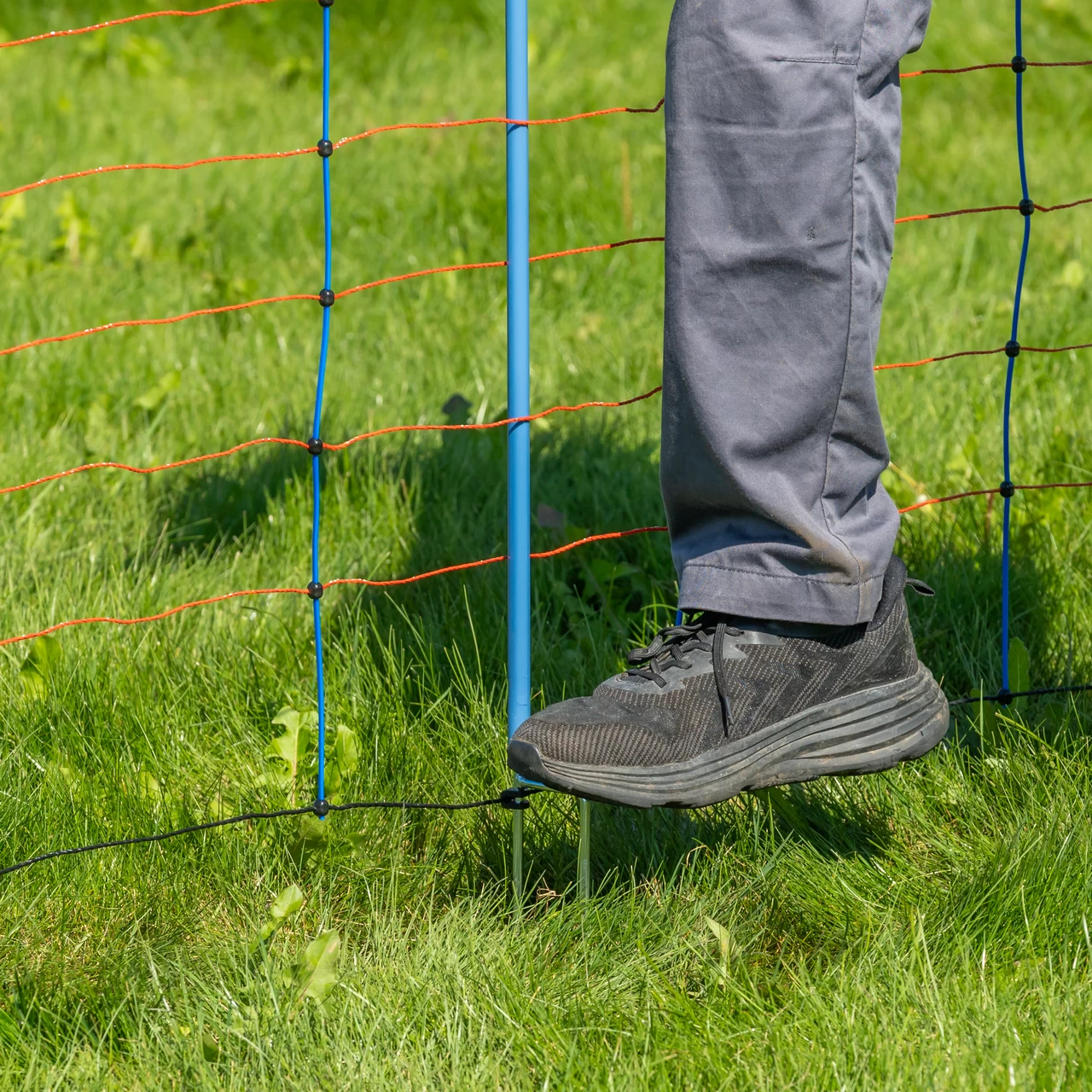 Мрежа за електропастир, TitanNet Premium, 50 м × 108 см