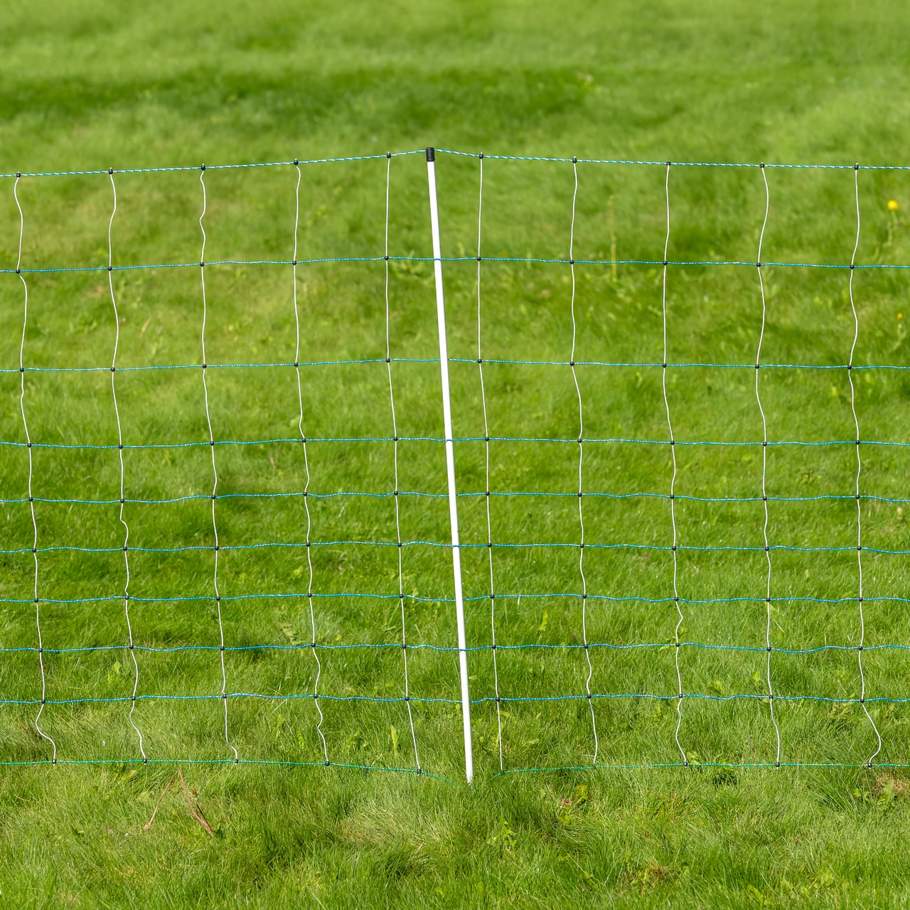 Мрежа за електропастир, OviNet Maxi, 50 м × 122 см