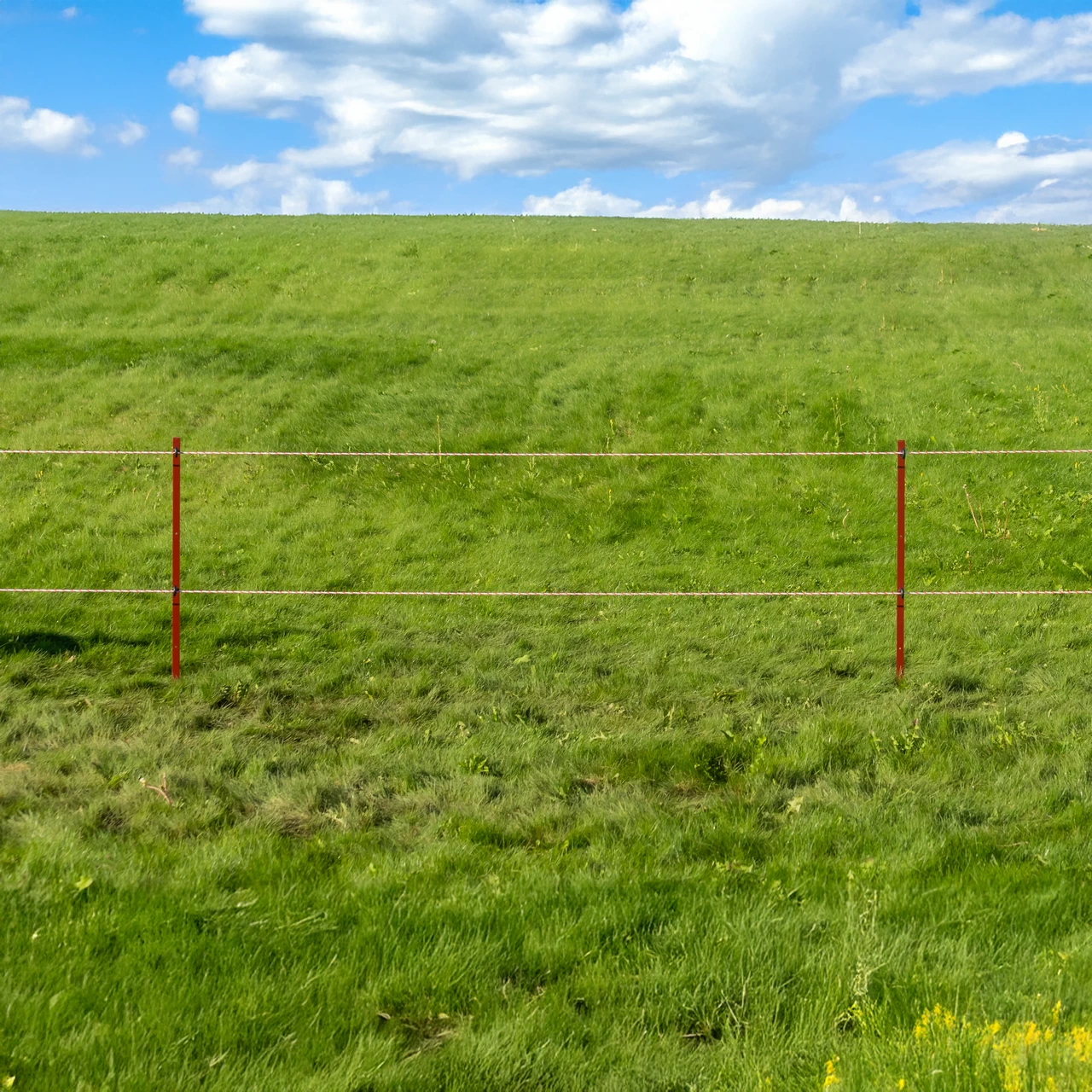 Колче от винкел 25 × 25 мм, 115 см