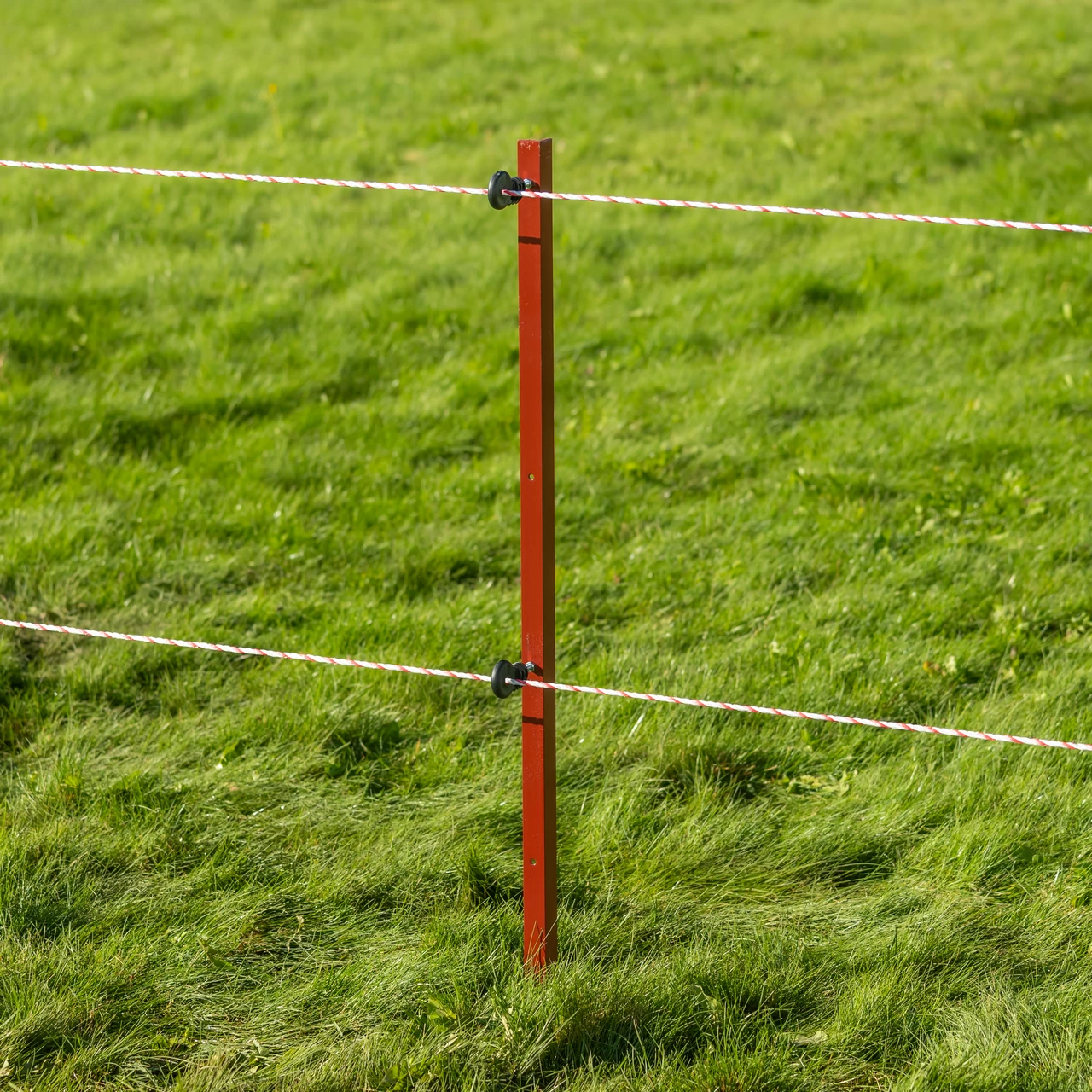 Колче от винкел 25 × 25 мм, 115 см, 10 бр.