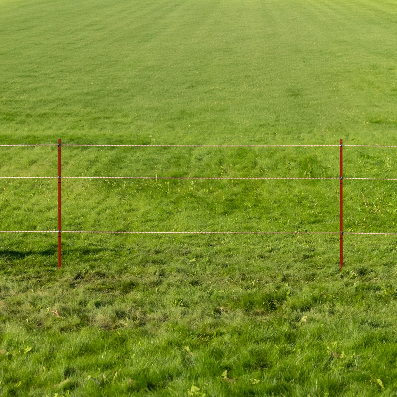 Колче от винкел 25 × 25 мм, 150 см, 10 бр.