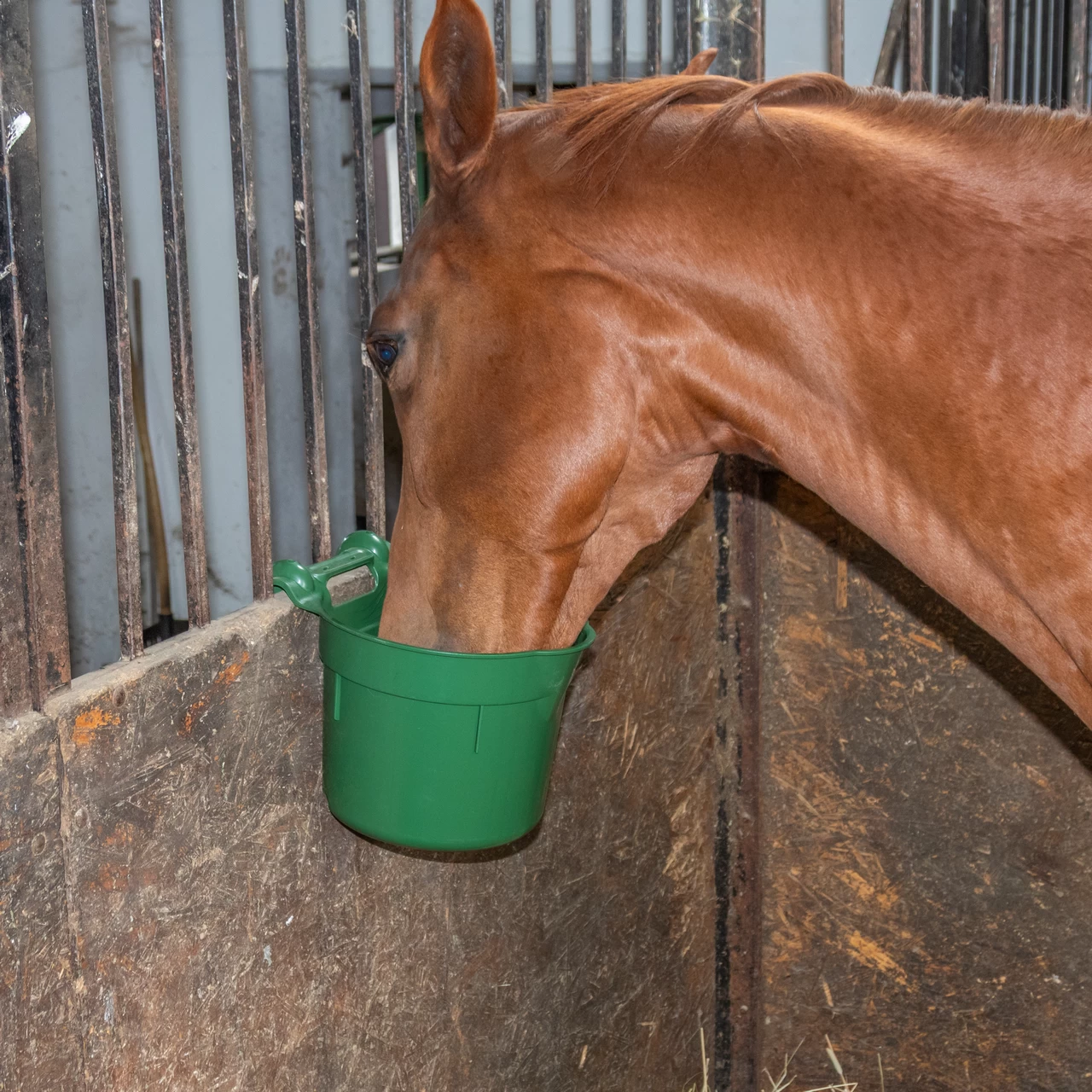 Кофа за хранене, с конзола за окачване, цилиндрична форма, тъмнозелена, 8 литра