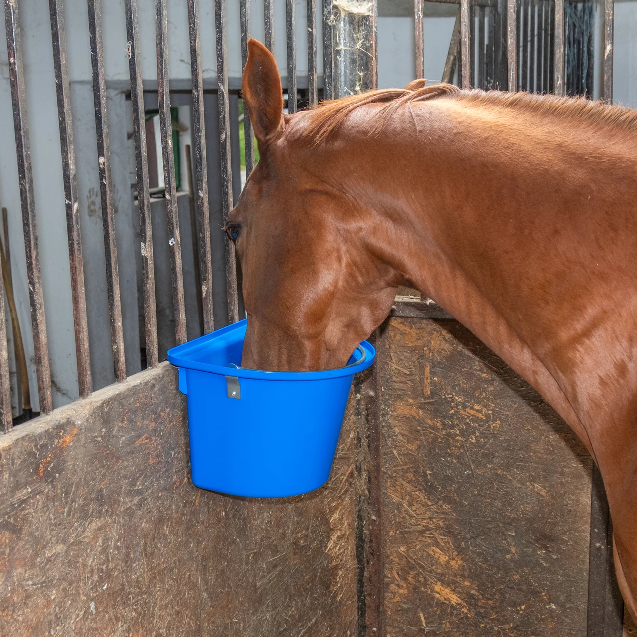 Кофа за хранене на коне, със скоби за окачване и дръжка, кралско синьо, 12 литра