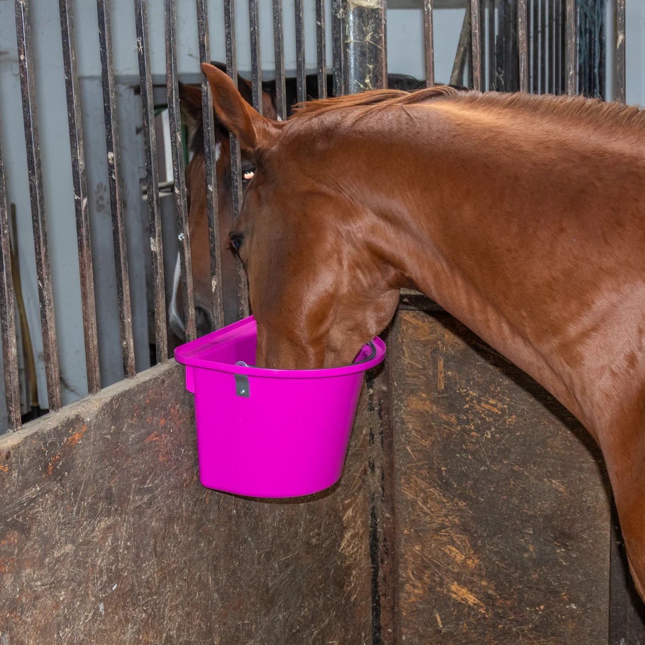 Кофа за хранене на коне, със скоби за закачване и дръжка, розова, 12 литра