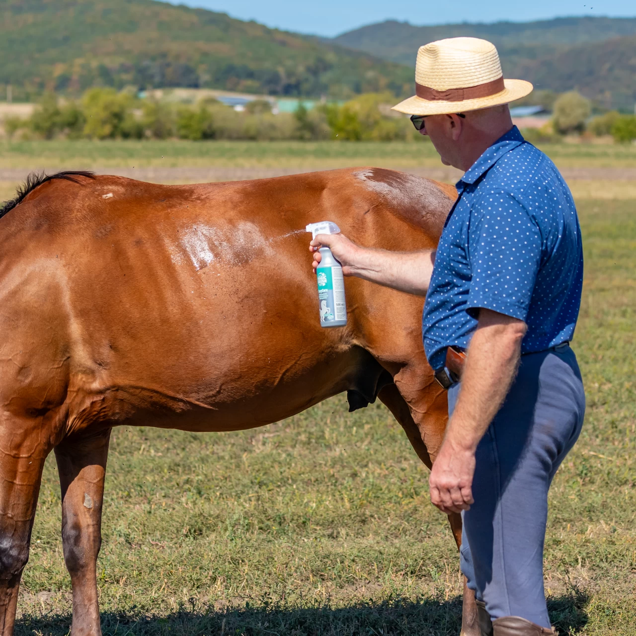 Спрей за почистване на коне, MagicBrush, 500 мл