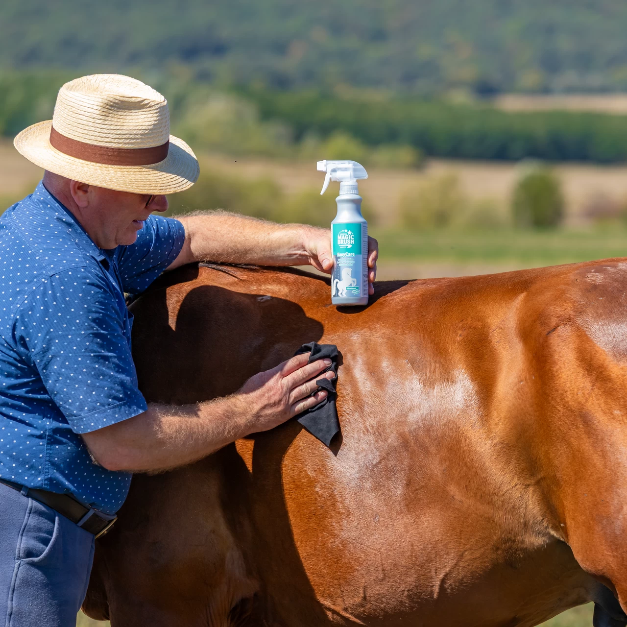Спрей за почистване на коне, MagicBrush, 500 мл