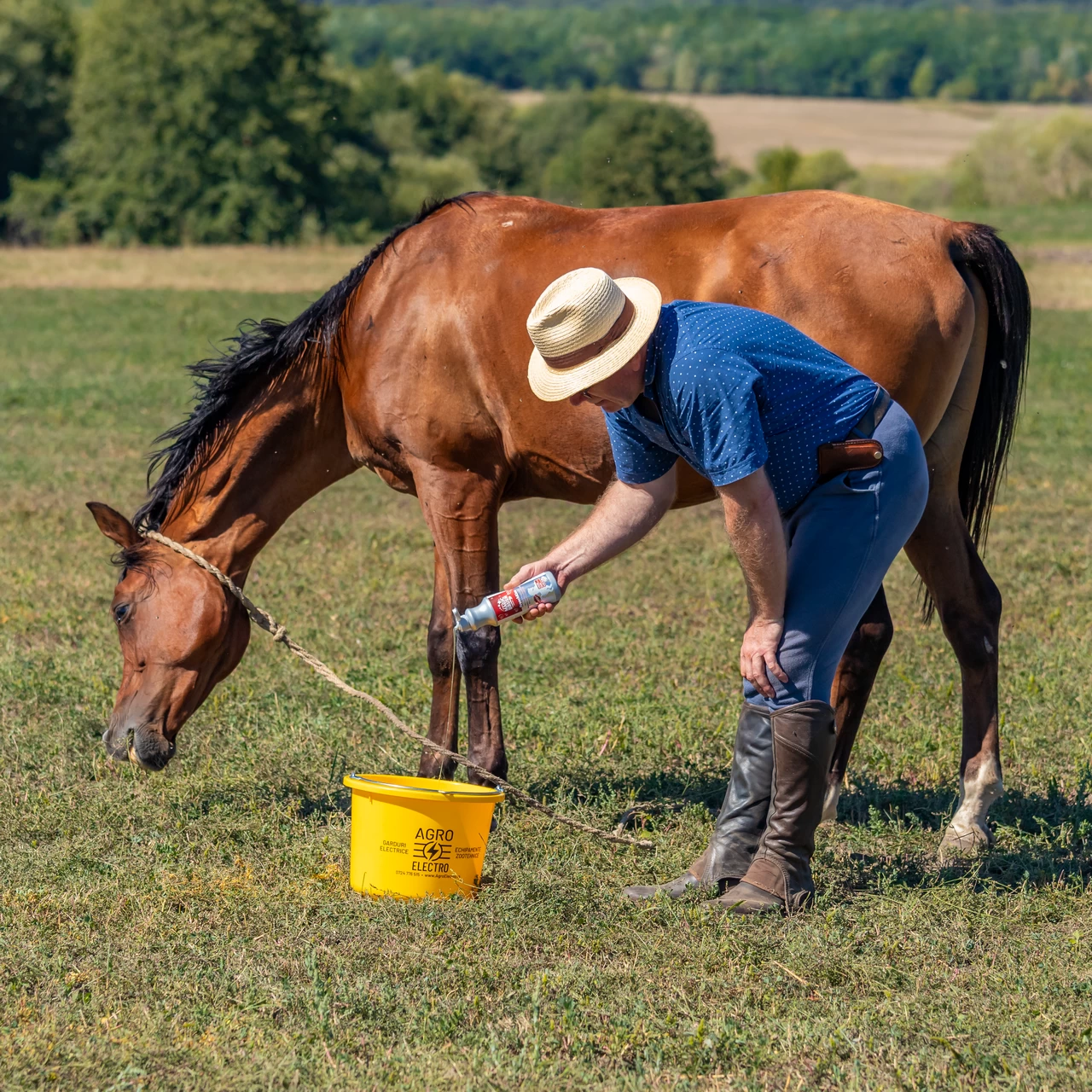 Шампоан за коне, аромат FrenchKiss, MagicBrush, 500 мл