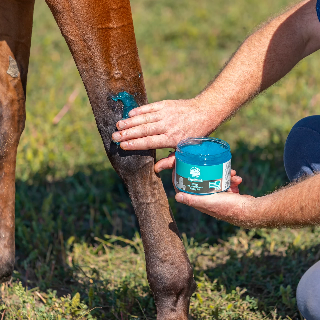 Гел за коне, MagicBrush Equimint, 500 мл