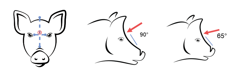 Правилно позициониране на устройството за зашеметяване при свине