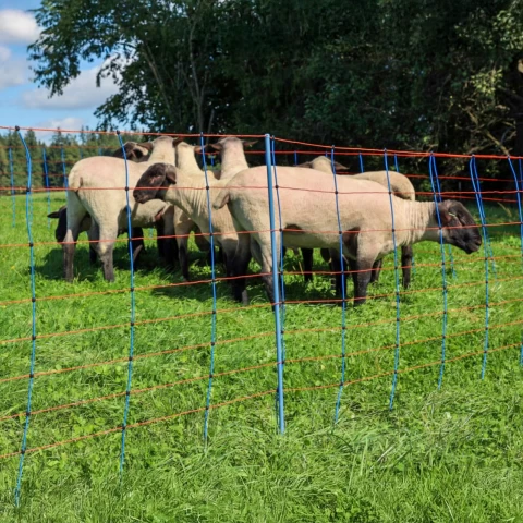 Мрежа за електропастир, TitanNet Premium, 50 м × 90 см