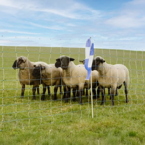 Мрежа за електропастир, OviNet Maxi, 50 м × 122 см