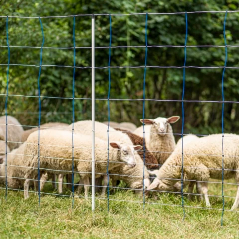Мрежа за електропастир, TitanNet, 50 м × 145 см