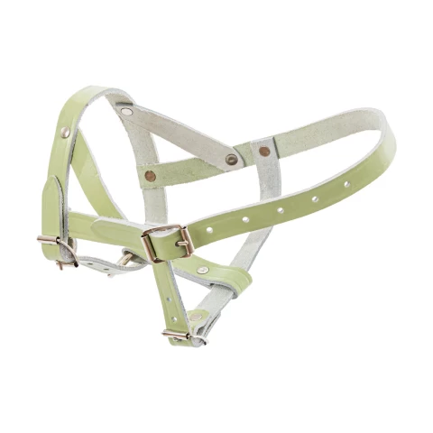 Кожен оглавник за овце и овни, регулируем