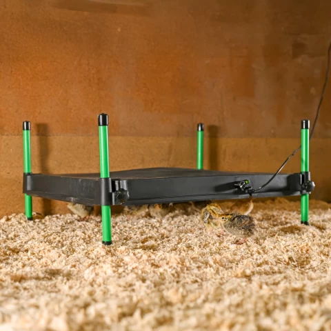 Термоподложка за пилета, CosyHeat, 40 × 50 см