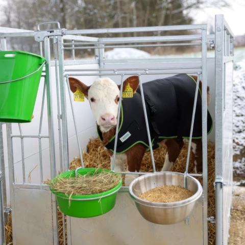 Одеяло за телета, премиум, топлоизолиращо, водоустойчиво, черно, 80 × 70 см