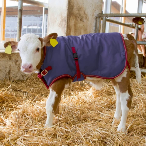 Одеяло за телета, водоустойчиво, ThermoPlus, тъмно синьо, 80 × 70 см