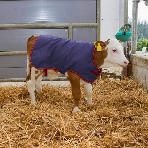 Одеяло за телета, водоустойчиво, ThermoPlus, тъмно синьо, 70 × 70 см