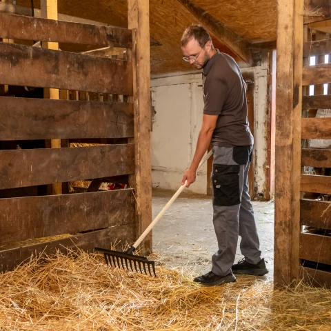 Права стъргалка-гребло за почистване на оборски тор, 40 см