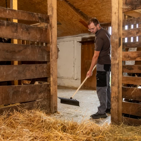 Права стъргалка-гребло за почистване на оборски тор, 40 см