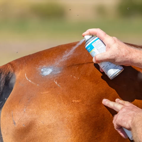 Сребърен спрей за защита на леки рани или контузии, 200 мл