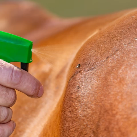 Спрей против мухи, CIT MuscaBlock, 1 литър