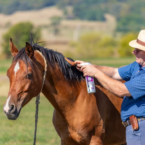 Спрей за грижа за гривата, аромат Oriental Nights, MagicBrush, 500 мл